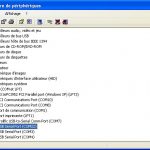 Gestionaire